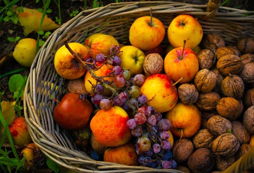 Retraite de Yoga, Voix & Chamanisme – Mabon, l’Equinoxe d’Automne