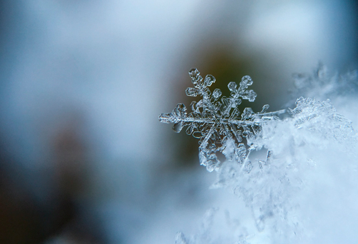 Yoga + Hiver